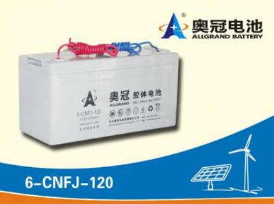 奧冠蓄電池6-CNFJ-120